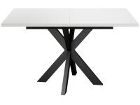 Big System Metall Stern Esstisch 20007