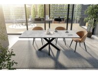 Big System Metall U Esstisch 20008