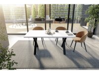 Big System Metall X Esstisch 20010