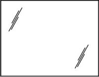 Bonnie Spiegel 20028